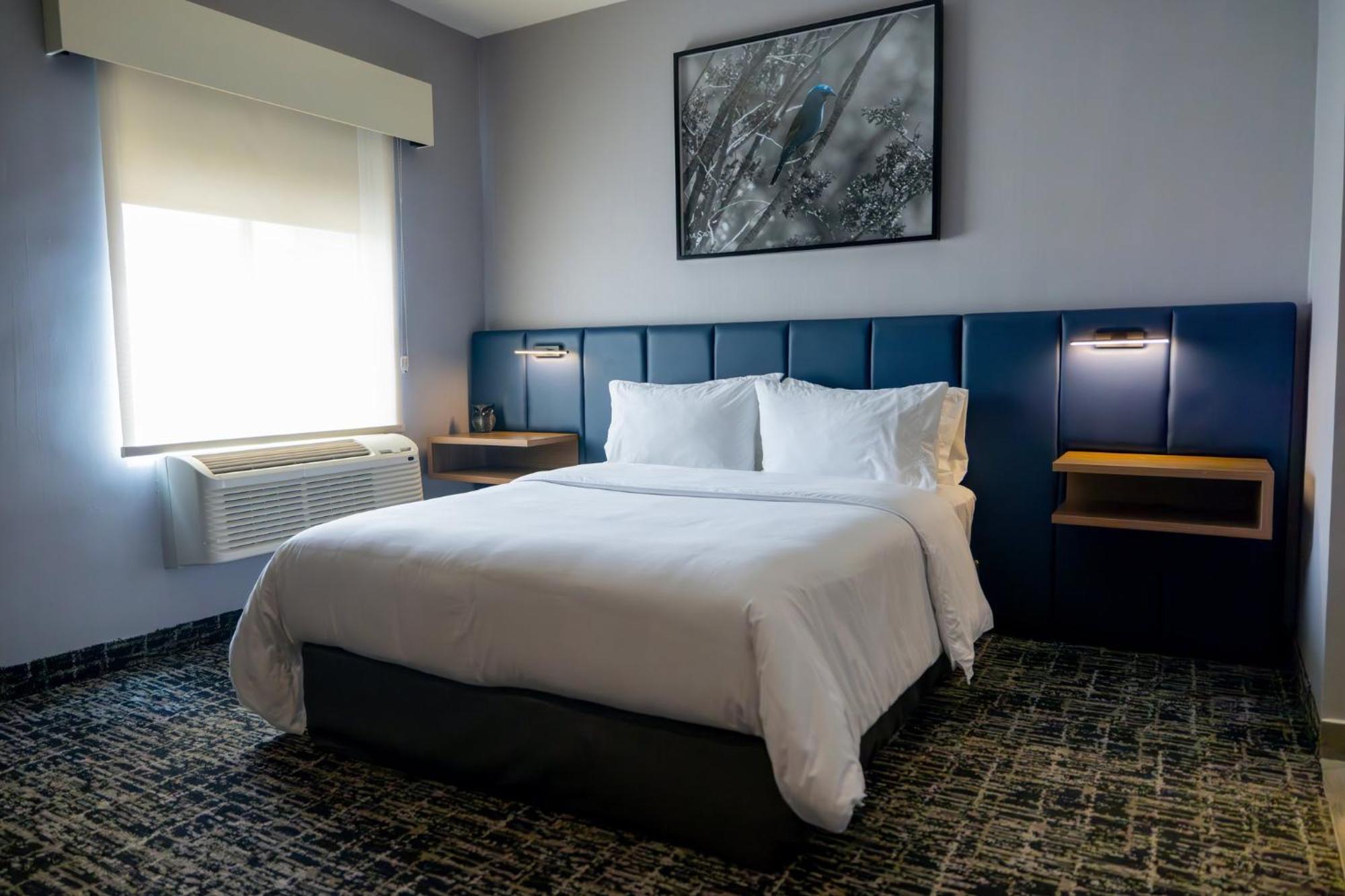 Voco Saltillo Suites By Ihg Bagian luar foto