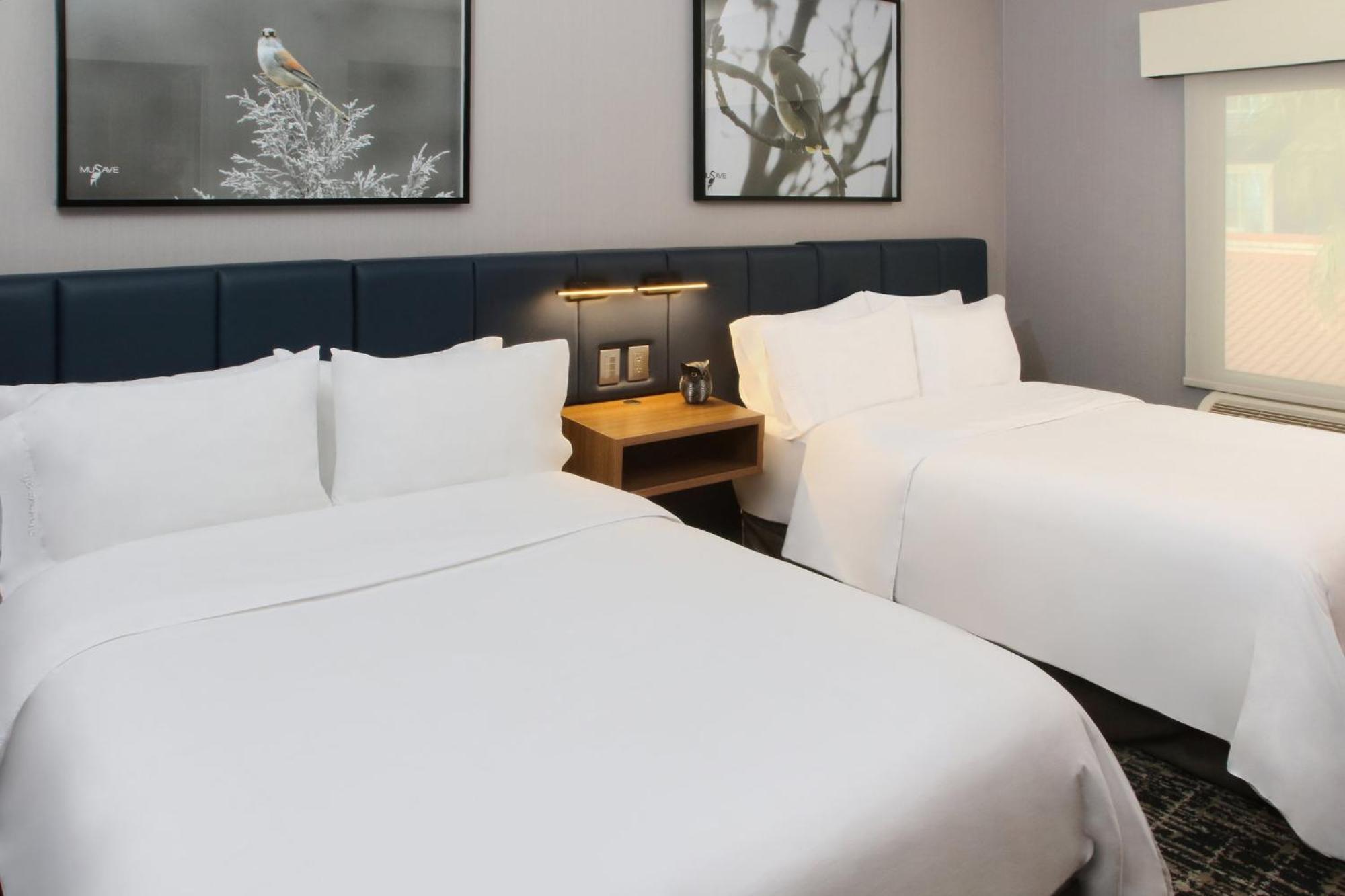 Voco Saltillo Suites By Ihg Bagian luar foto