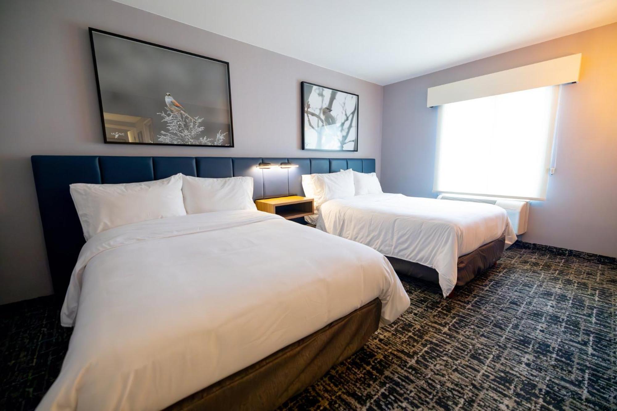 Voco Saltillo Suites By Ihg Bagian luar foto