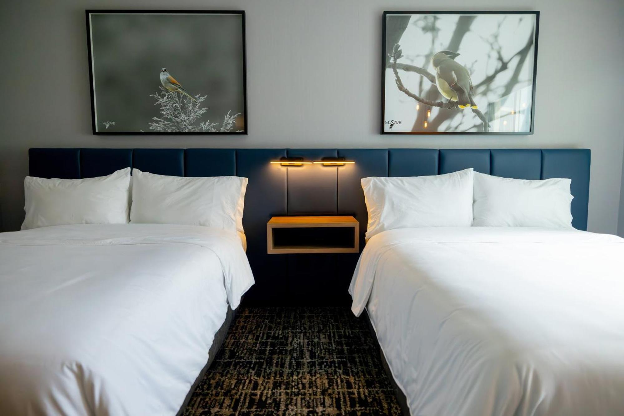 Voco Saltillo Suites By Ihg Bagian luar foto